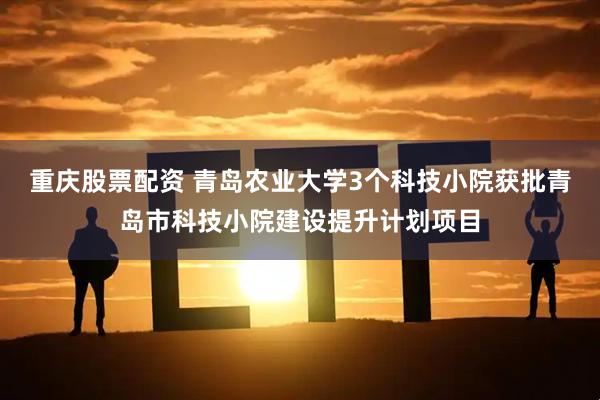 重庆股票配资 青岛农业大学3个科技小院获批青岛市科技小院建设提升计划项目