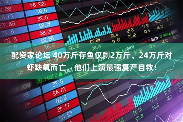 配资家论坛 40万斤存鱼仅剩2万斤、24万斤对虾缺氧而亡,他们上演最强复产自救!